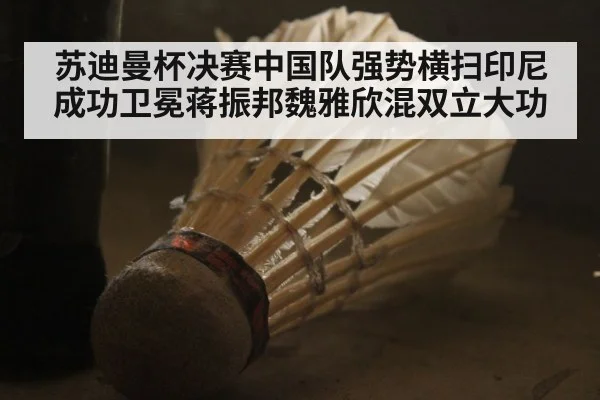 苏迪曼杯决赛中国队强势横扫印尼成功卫冕蒋振邦魏雅欣混双立大功
